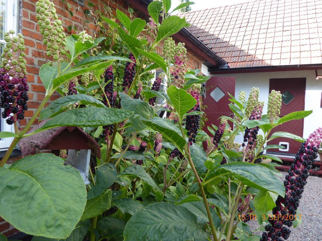 Akarpsvaegen Vacation Home เทรลเลบอร์ก ภายนอก รูปภาพ